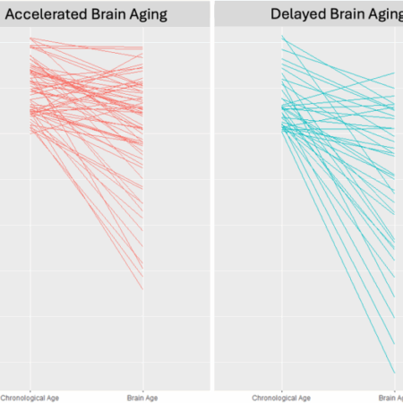 Scientists Uncover a Mechanism to Slow Brain Aging
