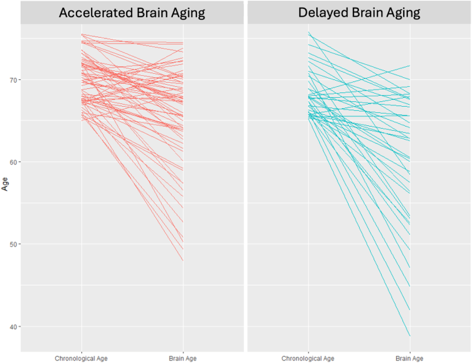 Preview Scientists Uncover a Mechanism to Slow Brain Aging