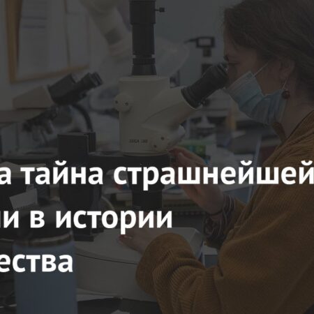 Раскрыта загадка самой опустошительной эпидемии в истории человечества