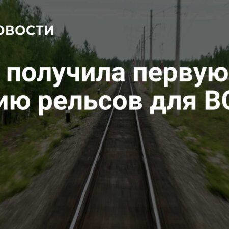 РЖД получили первую партию рельсов для ВСМ Москва – Санкт-Петербург