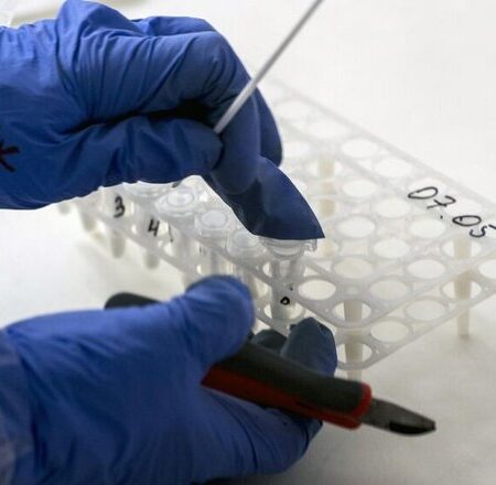 Россия представила первый тест на 25 вирусов