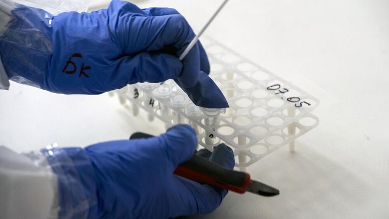 Preview Россия представила первый тест на 25 вирусов