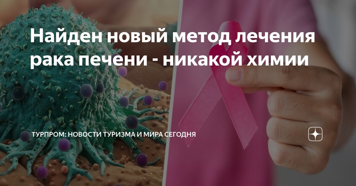 Preview Ученые обнаружили новый подход для замедления агрессивного рака печени