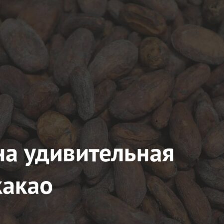 Выявлена удивительная польза какао
