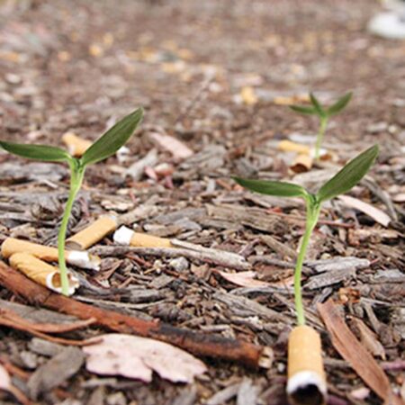 Раскрыт скрытый вред сигаретных фильтров: бесполезны для здоровья, разрушительны для экологии