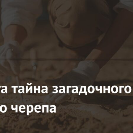 Раскрыта многовековая тайна древнего черепа из Греции