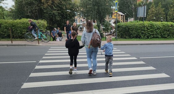 Preview Московская область: Лидер по Нарушениям ПДД Пешеходами