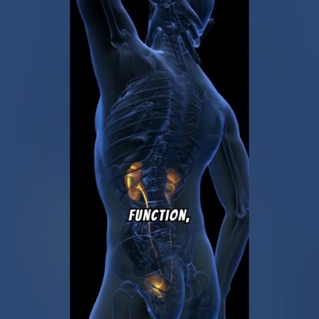 Unexpected Discovery: Weight Loss Drugs Significantly Reduce Heart Failure Risk