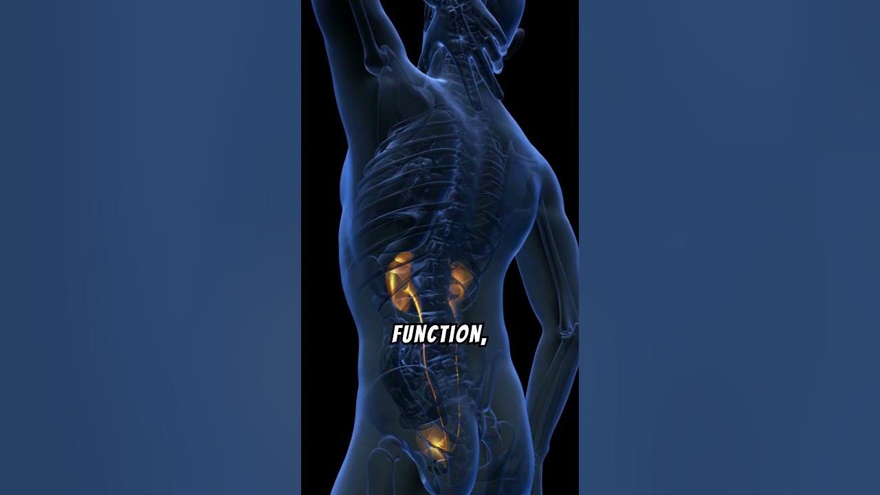Preview Unexpected Discovery: Weight Loss Drugs Significantly Reduce Heart Failure Risk