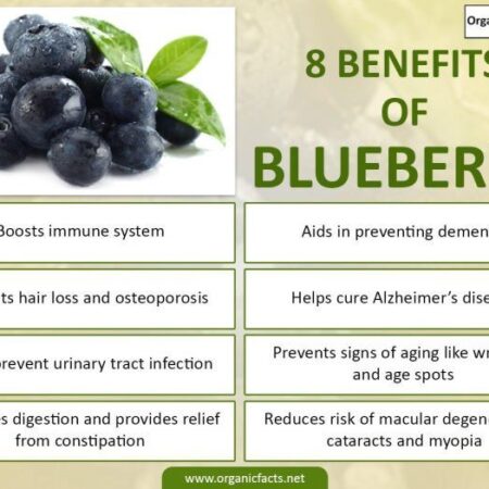 Unexpected Benefits of Blueberries for Infants: Allergy and Immune System Support