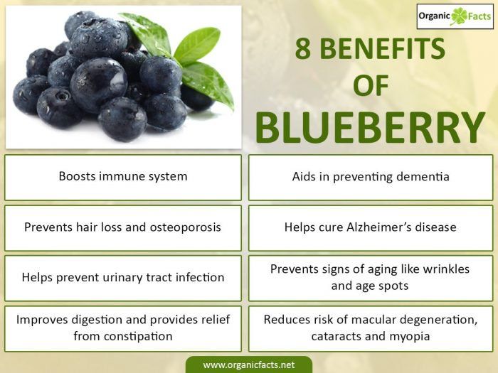 Preview Unexpected Benefits of Blueberries for Infants: Allergy and Immune System Support