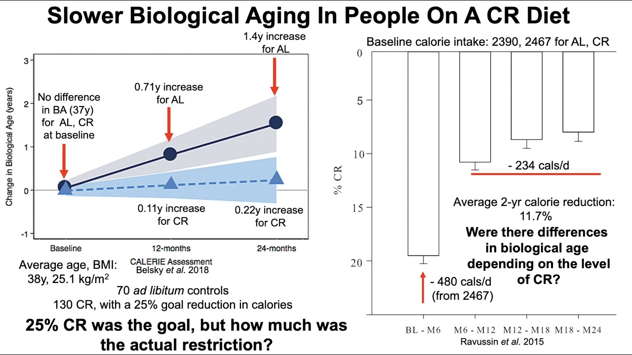 Preview Simple Method to Slow Biological Aging Identified