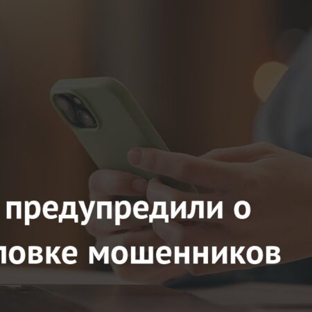 Россиян предупредили о новой уловке мошенников