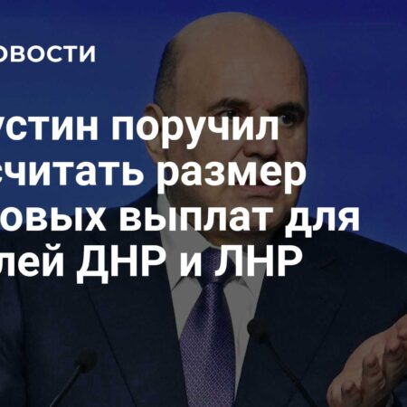 Мишустин поручил актуализировать страховые выплаты жителям ДНР и ЛНР