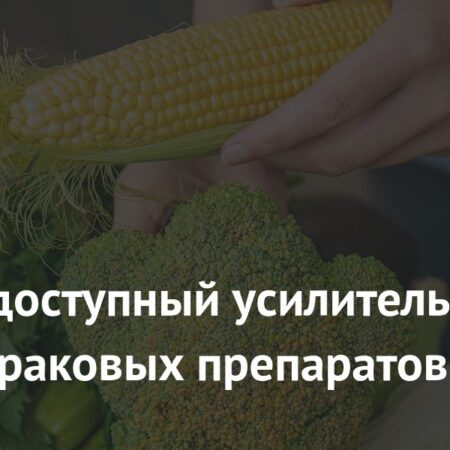Доступное вещество усиливает эффект противораковых препаратов