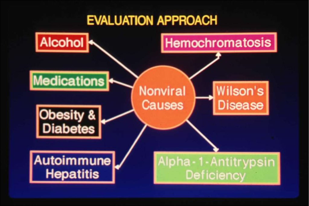 Preview Unexpected Link Between Hepatitis B Immunity and Reduced Diabetes Risk Discovered