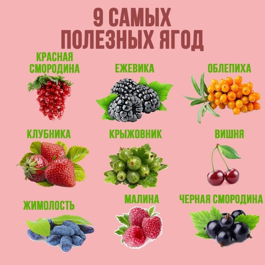 Preview Сезонные Ягоды: Почему Они Полезнее и Чем Богаты — Мнение Диетолога