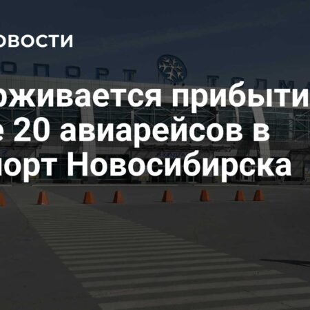 Задержка более 20 авиарейсов в аэропорту Новосибирска