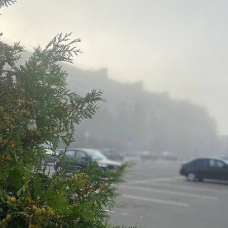 Синоптик Тишковец: на севере Подмосковья зафиксировали радиационные туманы