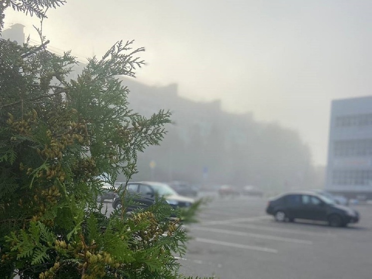 Preview Синоптик Тишковец: на севере Подмосковья зафиксировали радиационные туманы