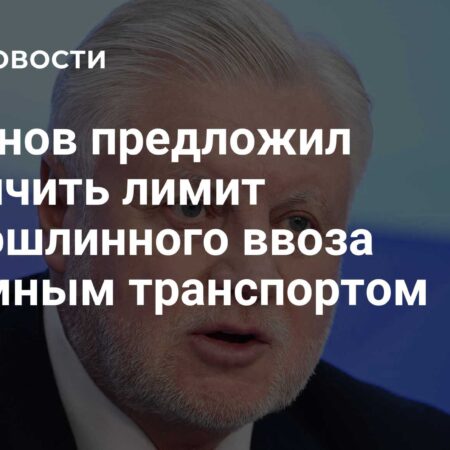 Миронов предложил разрешить беспошлинный ввоз товаров на 1,6 тысячи евро