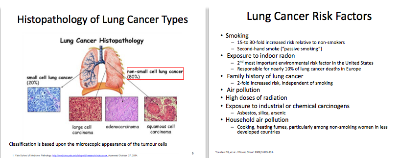 Preview Unexpected Role of Ozempic and GLP-1 Drugs in Combating Lung Cancer Uncovered
