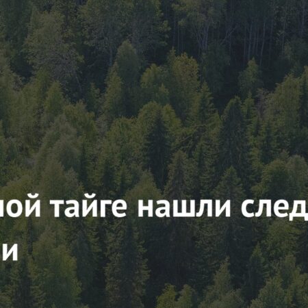 Радиационный след в северной тайге Кольского полуострова: Новые данные о цезии-137