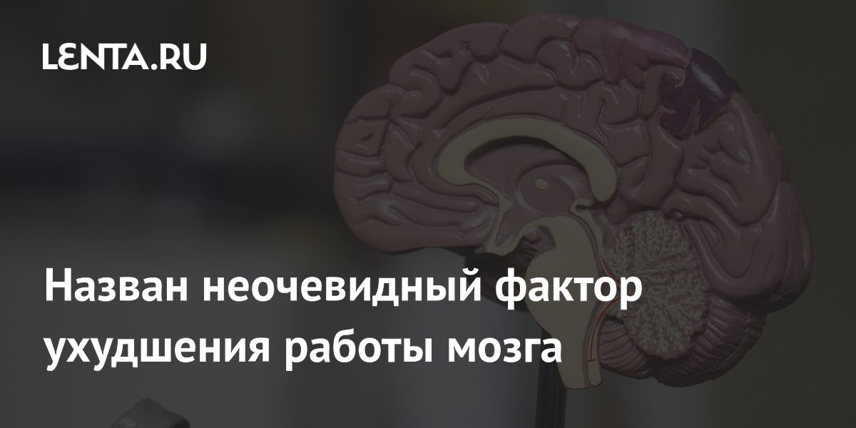 Preview Неочевидный фактор ухудшения работы мозга: Фастфуд