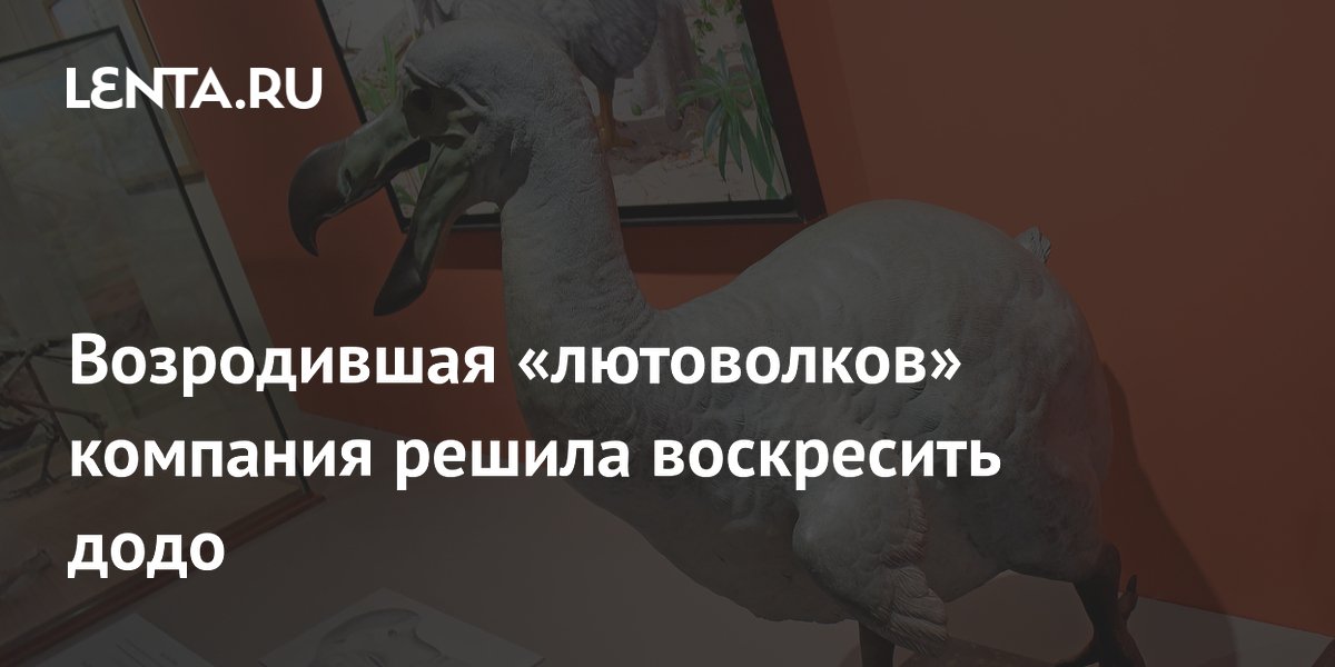 Preview Colossal Biosciences: От “лютоволков” к додо