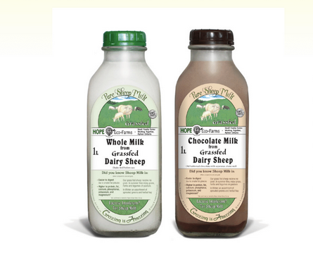 Preview Sheep’s Milk: New Research Confirms Unique Therapeutic Qualities