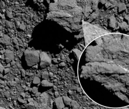 Traces of an Unknown Asteroid Discovered
