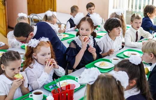 Preview State Duma Proposes Juices in School Meals for Cold Season