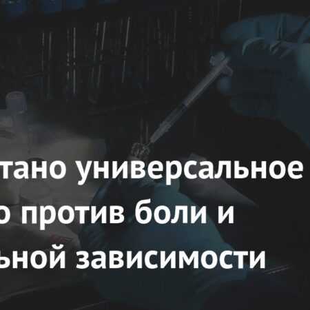 Разработано универсальное средство против боли и алкогольной зависимости