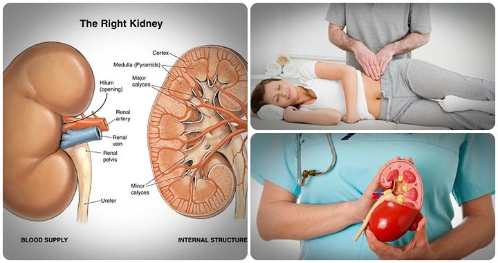 Preview Shift Work Poses Hidden Risk to Kidney Health, Study Reveals