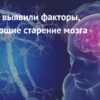 Обнаружен распространенный фактор ускоренного старения мозга