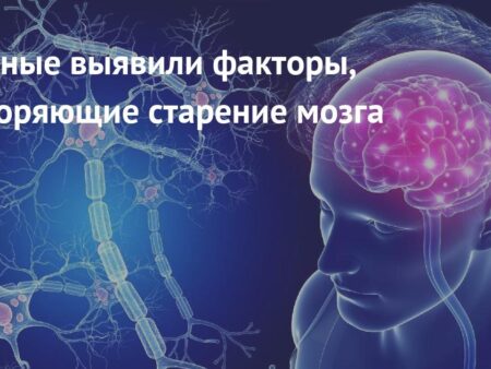 Обнаружен распространенный фактор ускоренного старения мозга