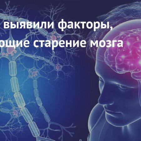 Обнаружен распространенный фактор ускоренного старения мозга