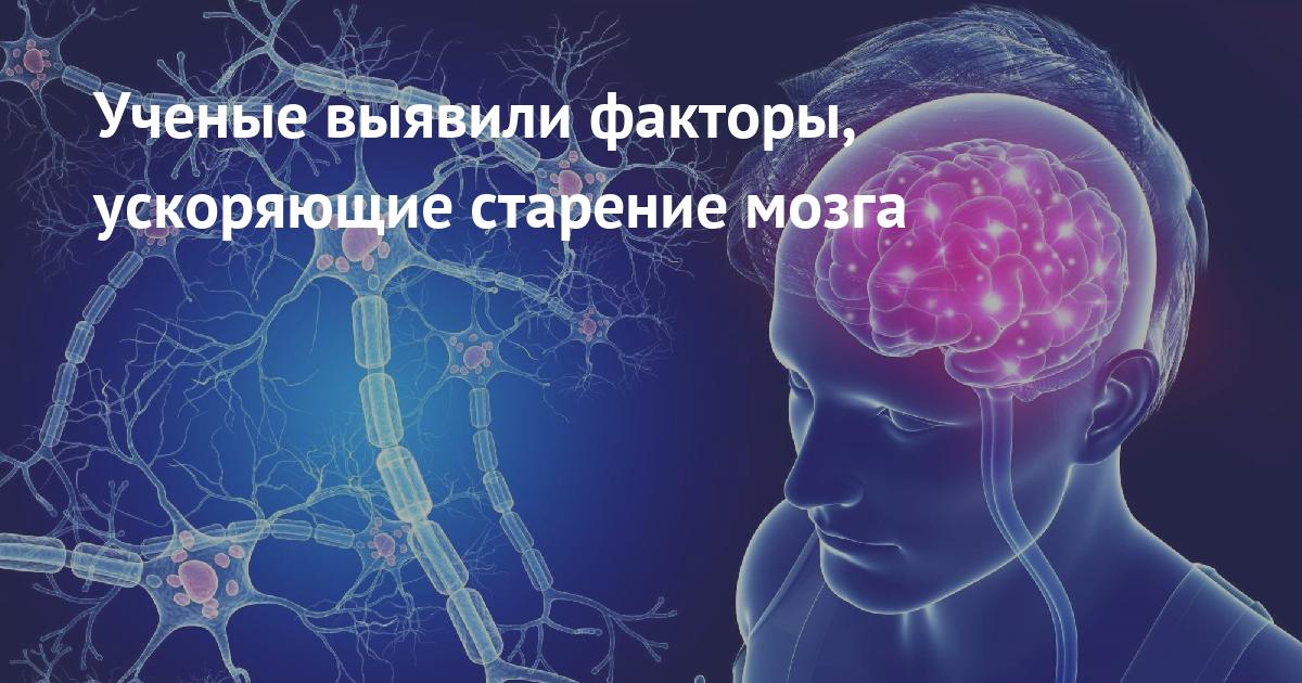 Preview Обнаружен распространенный фактор ускоренного старения мозга