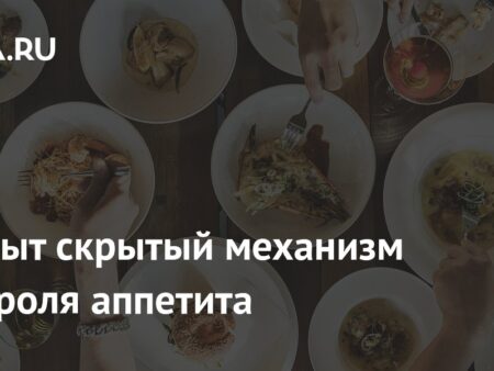 Открыт скрытый механизм контроля аппетита