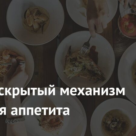 Открыт скрытый механизм контроля аппетита