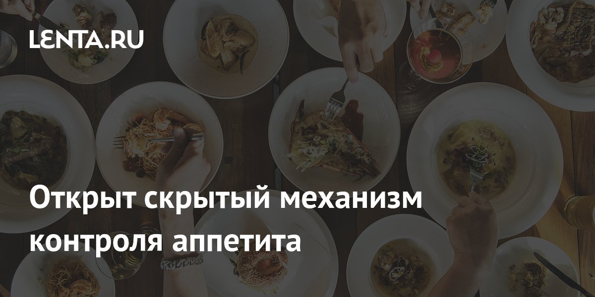 Preview Открыт скрытый механизм контроля аппетита