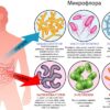 Микропластик: Неожиданный фактор изменения микрофлоры кишечника
