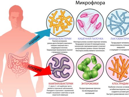 Микропластик: Неожиданный фактор изменения микрофлоры кишечника