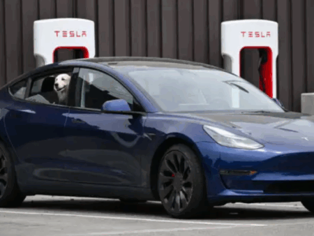Tesla Rolls Out More Affordable Electric Cars