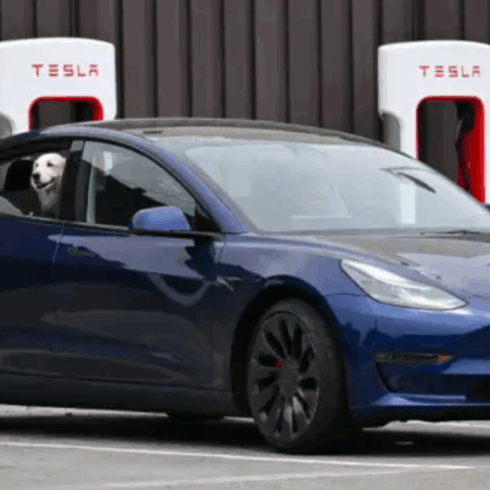 Tesla Rolls Out More Affordable Electric Cars