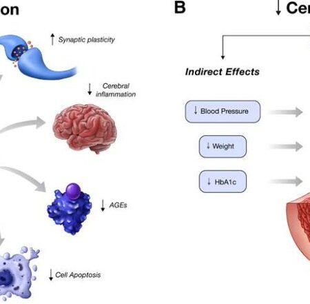 GLP-1 Agonists: A New Challenge for Oncological PET-CT Diagnostics