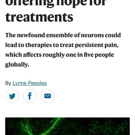 Ученые обнаружили способ отключать хроническую боль через нейроны