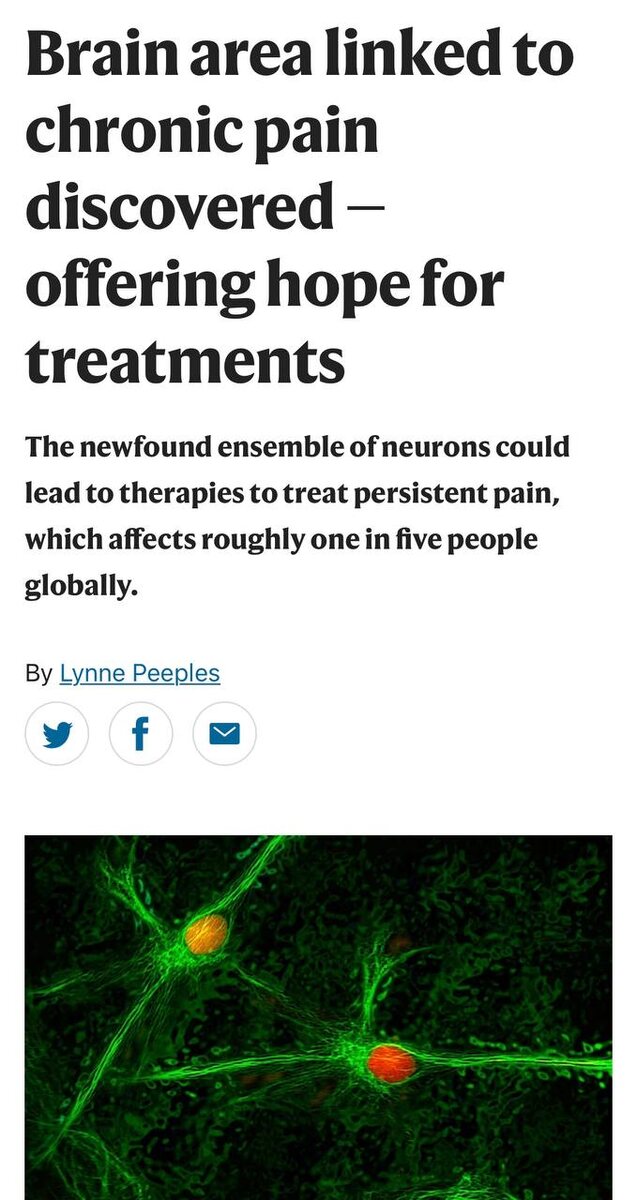 Preview Ученые обнаружили способ отключать хроническую боль через нейроны