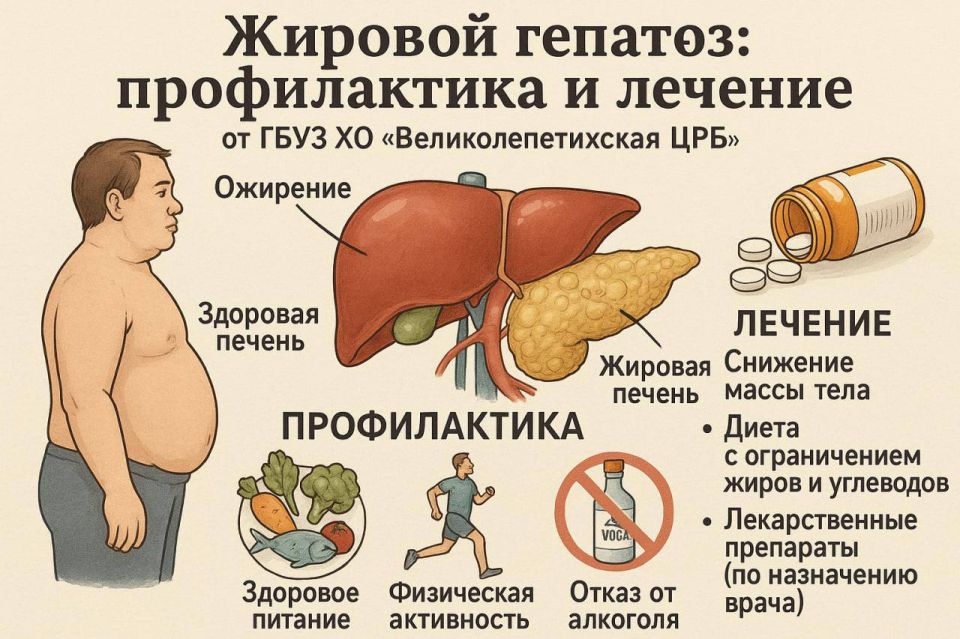Preview Мутации в клетках крови: новая причина ожирения, диабета и жирового гепатоза
