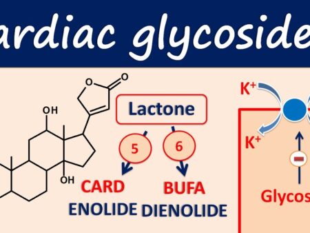 Cardiac Glycosides: A New Frontier in Liver Cancer Treatment